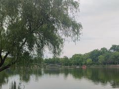 -雨湖公园