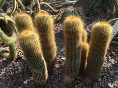 -南山植物园