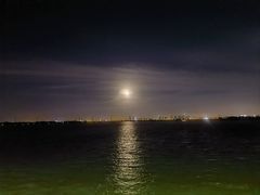 -漕湖湿地公园