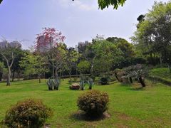 -晓港公园
