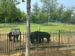 -秦皇岛野生动物园