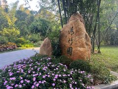 -晓港公园