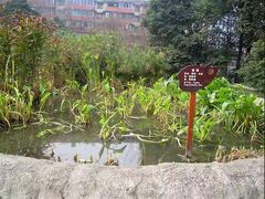-成都市活水公园