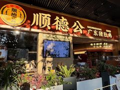 -顺德公广东猪肚鸡·煲仔饭(白石洲店)
