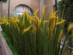 -广州市越秀区光塔街社区卫生服务中心(朝天院区)