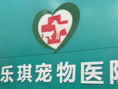 -乐琪宠物医院·犬猫专科·骨外科·急重症
