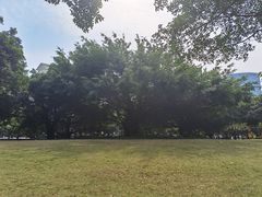-南宁南湖公园
