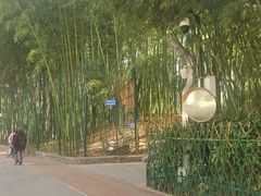 -西安市长乐公园