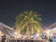 -席娜卡琳火车铁道夜市