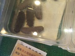 -福来齐·鲁菜海鲜·渔家菜(朝阳街分店)