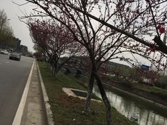 -雅·日式料理·烧鸟(南昌喜来登酒店)