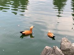 -云南野生动物园