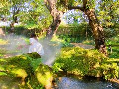 -Chom Cafe and Restaurant