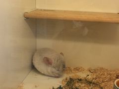 -龙猫仔乐园(惠福东路店)