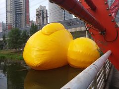 -长白岛森林公园