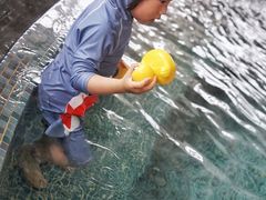 -上海浦东嘉里大酒店