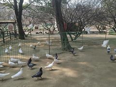 -秀丽东方