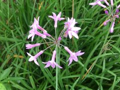 -贵阳市花溪国家城市湿地公园