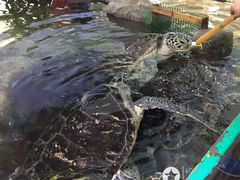 -鸿通城购物中心