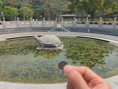 -顺峰山公园