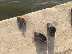 -多瑙河畔鞋履雕塑