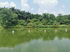 -飞来湖湿地公园