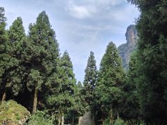 -重庆睡佛山森林公园