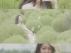 -映月湖中央公园