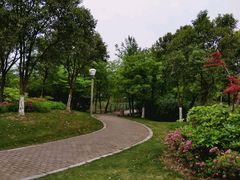 -尚贤河湿地