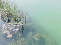 -尚贤河湿地