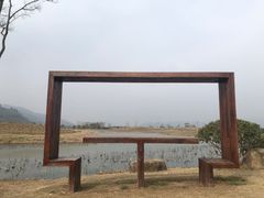 -径山花海