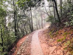 -西湖风景区十里琅珰-五云山