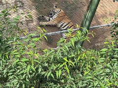 -青藏高原野生动物园