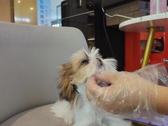 -成都银泰中心in99