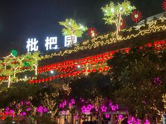 -枇杷园食为鲜火锅(南山店)