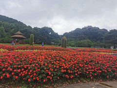 -广州市石门国家森林公园