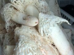 -菌之家·专业纯野生菌火锅·特色炒菌