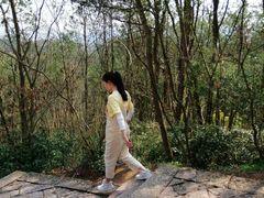 -天台山赤城山景区