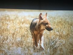 -天幕新彩云国际影城(激光巨幕店)