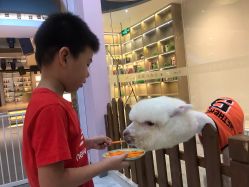 -Moni星球萌宠·小马宝莉·灵蛇·高端高阶全萌宠互动体验俱乐部(红豆国际广场店)