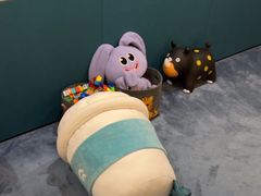 -蔚来体验中心(北京后沙峪店)