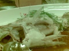 桂鱼-南洋冠盛酒店(广州天河公园地铁站店)