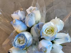 -循礼门鲜花花市(武汉循礼门店)