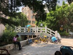-小洲村