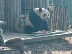 -大连森林动物园