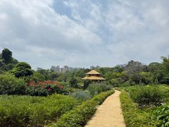 -广西壮族自治区药用植物园
