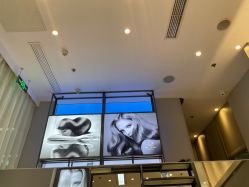 -Mr.JUDY洗个头发