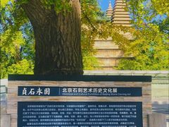 -北京石刻艺术博物馆(五塔寺)