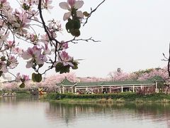-海珠湖公园