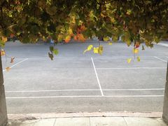 -哈尔滨文化公园